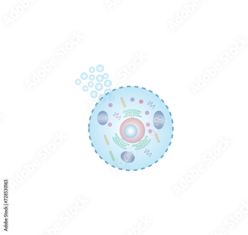 Necrosis, Pathologic Cell Death, Death of the body tissues, Cell injury which results in the premature death of cells in living tissue by autolysis. Vector illustration.