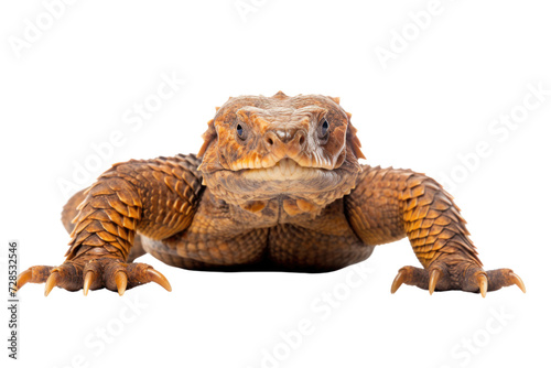 Monster isolated on white transparent background.