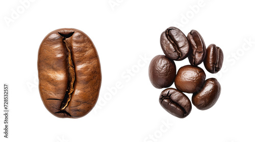 Comparative characteristics of Arabica and Robusta coffee beans isolated on white background