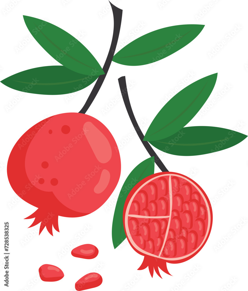 A pomegranate.Juicy garnet close-up, cut in half. Postcard print. Isolated on a white background. Vector stock illustration. A pomegranate.Juicy garnet close-up, cut in half. Postcard print. Isolated on a white background. Vector stock illustration.