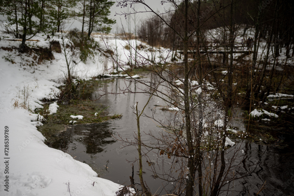 Swamp with dirty water on a winter day