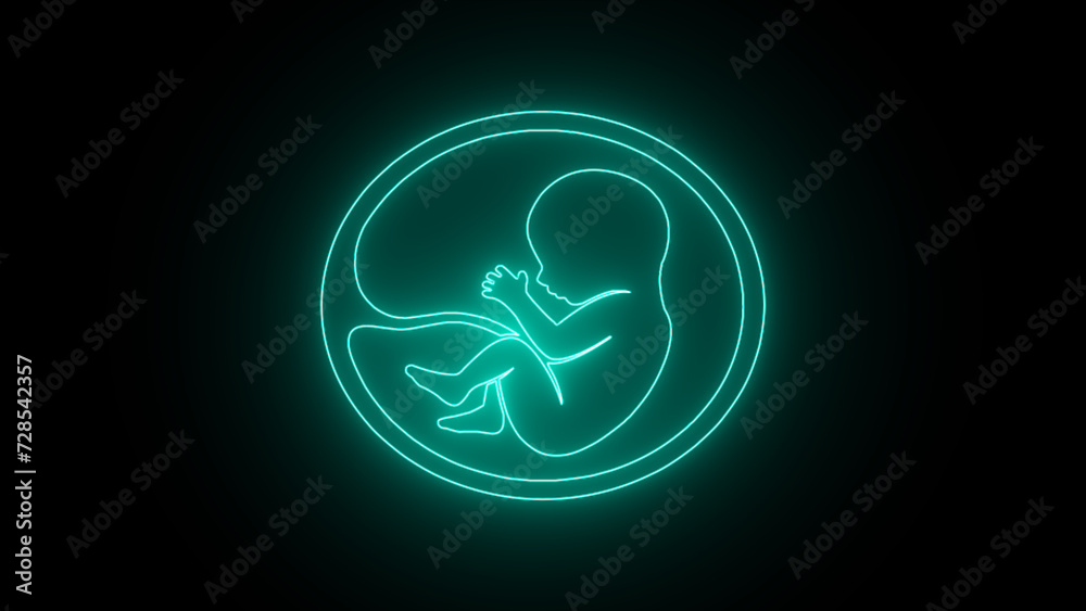 neon Human fetus inside the womb. Pregnancy fetal foetus development