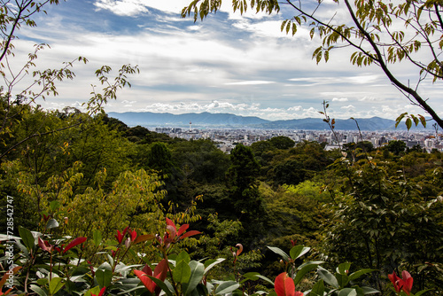 Spectacular view of Kyoto, Japan in landscape format and a century-old tree in the foreground. Cloudy and dramatic sky, authentic Japanese view, horizontal image