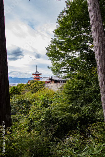 Distant view of the orange temple in Kyoto, Japan, vertical image and century-old tree in the foreground. Ancient and iconic temple, cultural experience on Japanese historical sites.