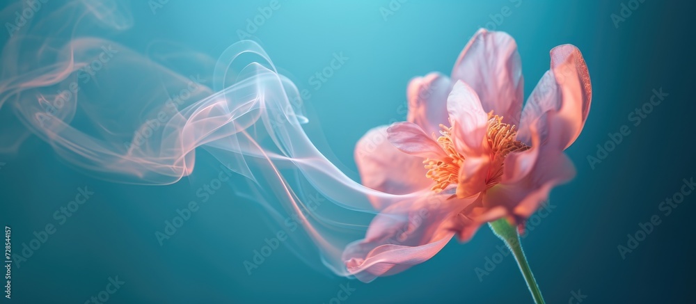 Fototapeta premium Blurred movement of smoke and a flower.