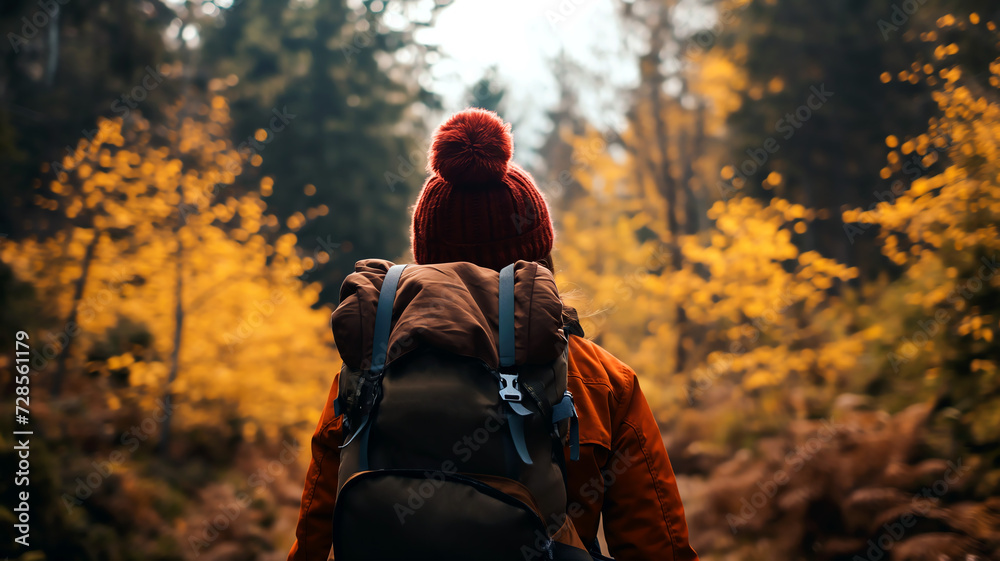 hiker in autumn forest backpack adventure