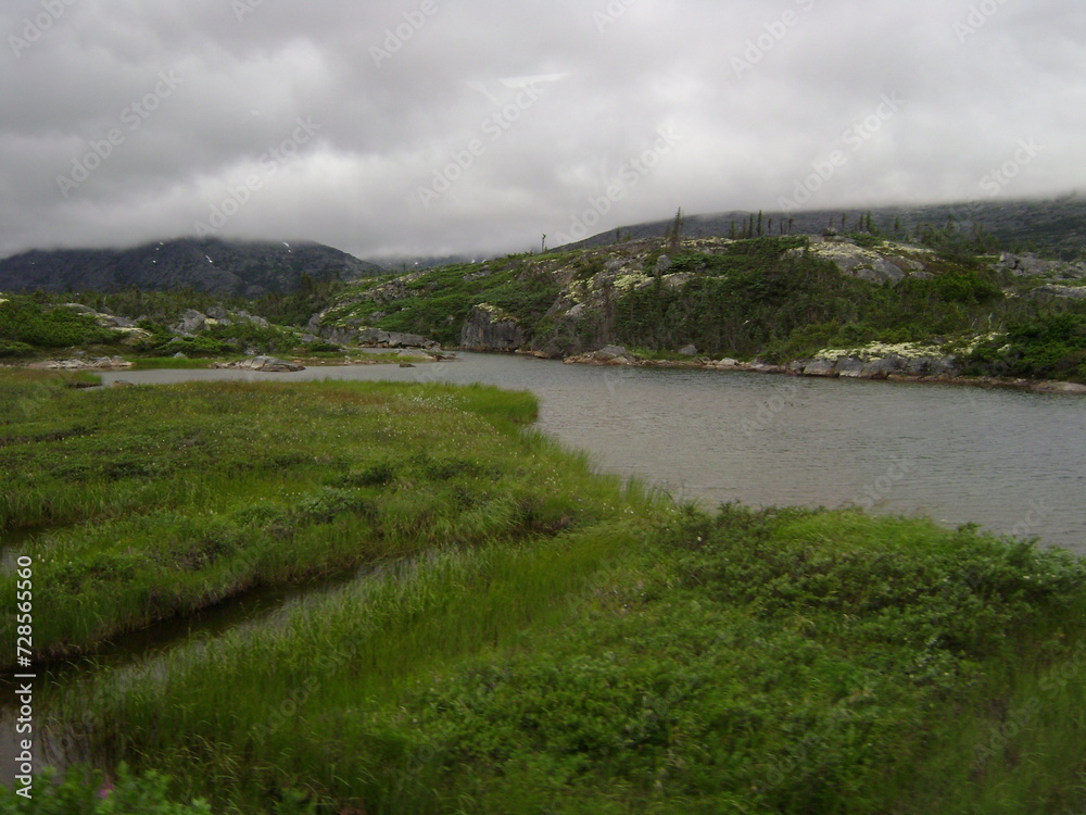 landscape with mountain river in meadow