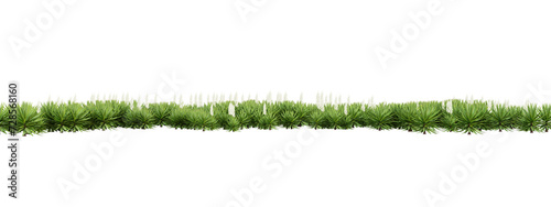 Cutout of green plant isolated on transparent background, png landscape design, 3d render illustration.