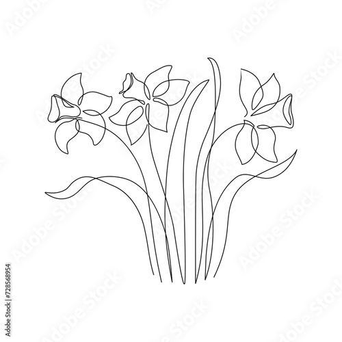 Narcissus flower in continuous line art drawing style. Narcissus black line sketch.