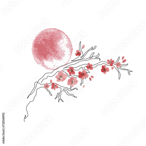 Sakura branch line art, watercolor flowers isolated on white background