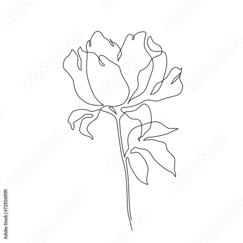 Peony flower in continuous line art drawing style.