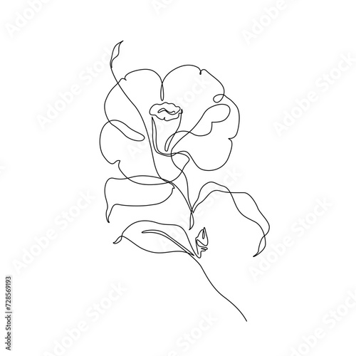 Camellia flower in continuous line drawing style