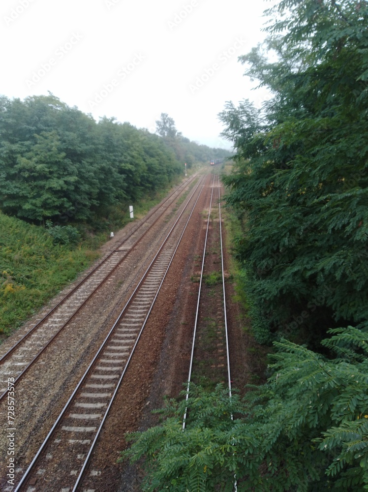 railway in the woods