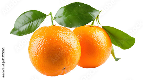 Fresh orange fruits with branch and leaves isolate on white background. 