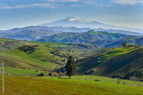 the verdant valleys and hills under the Etna Volcano in Sicily on a beautiful winter day in 2024