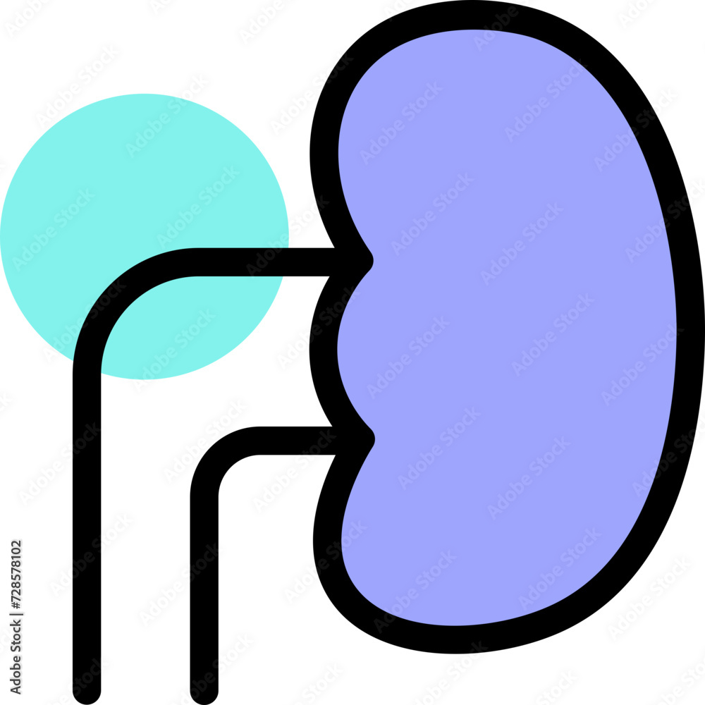 Kidney Renal, Nephron, Urinary System, Filtration, Dialysis, Renal