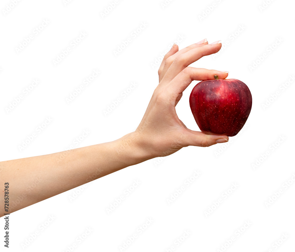 Isolated female's hand holds red apple. Nutrition and healthy eating concept. Isolated female's hand holds red apple. Nutrition and healthy eating concept.
