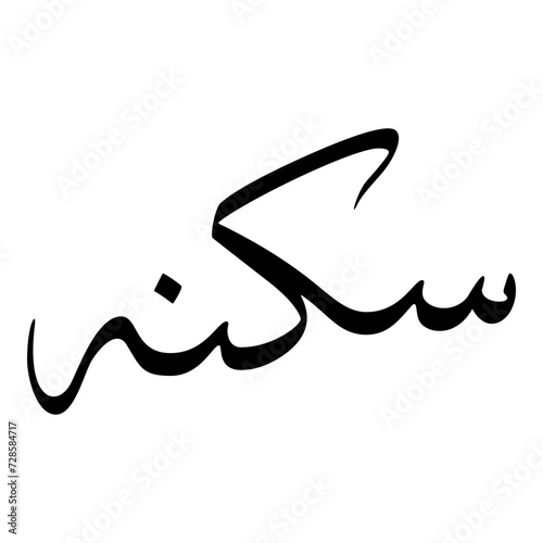 Suknah Muslim Girls Name Sulus Font Arabic Calligraphy 