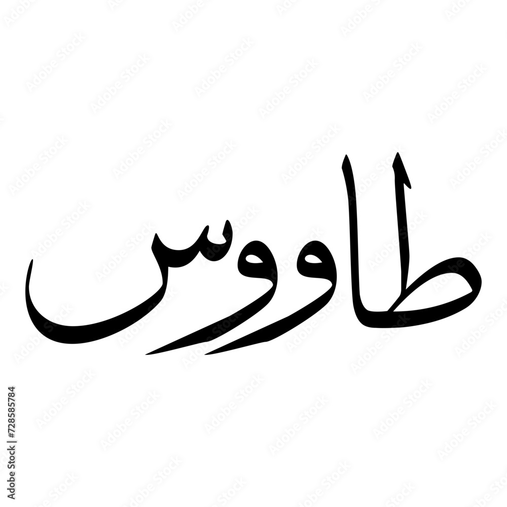 Tawus Muslim Girls Name Sulus Font Arabic Calligraphy Tawus Muslim Girls Name Sulus Font Arabic Calligraphy