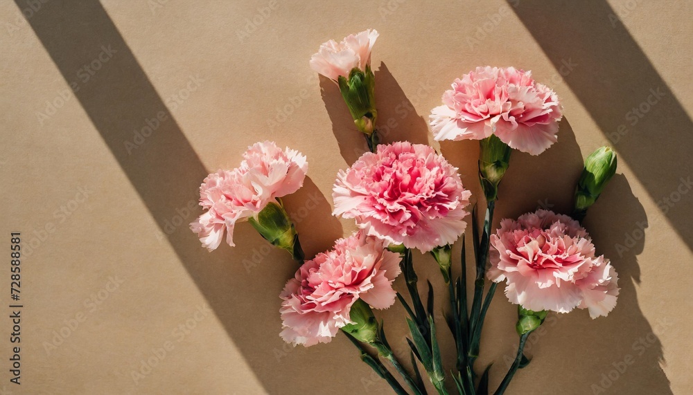 pink carnation flowers bouquet on tan background with deep sunlight shadows flat lay top view floral composition