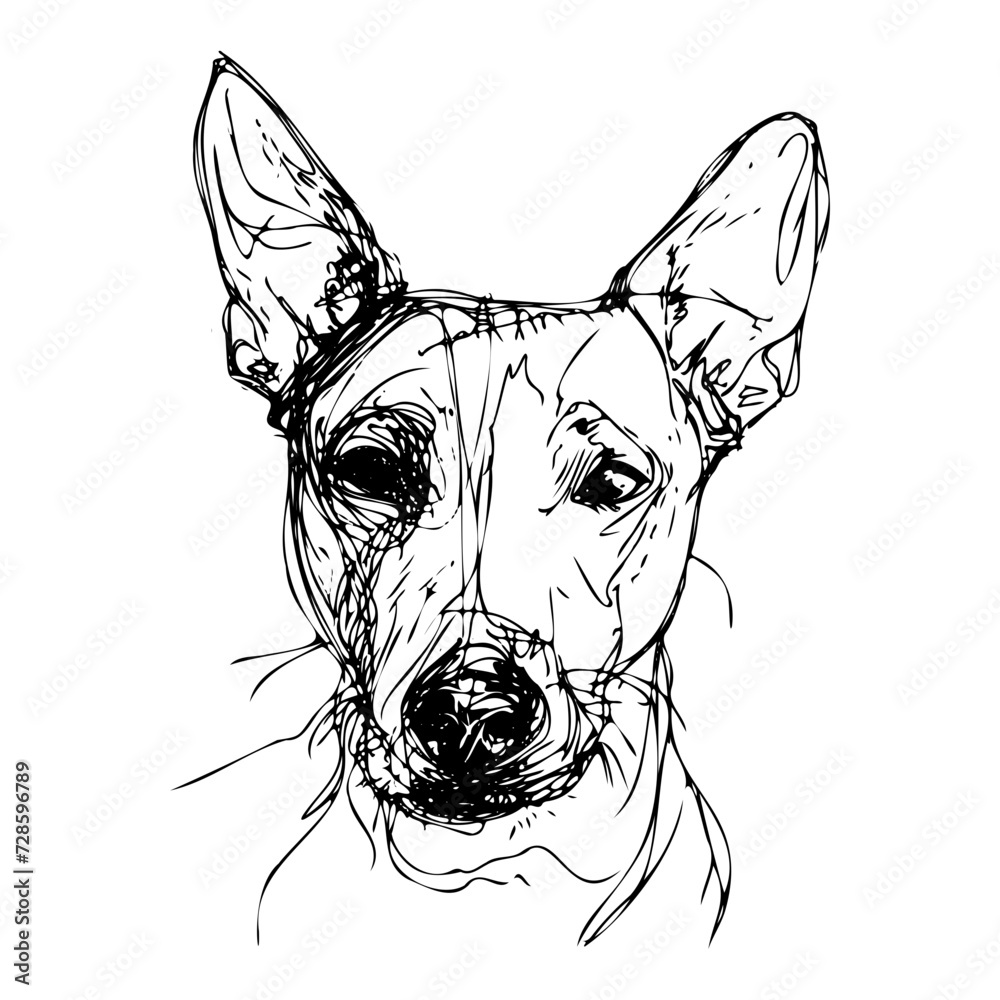 Messy line drawing of a basenji dog's face