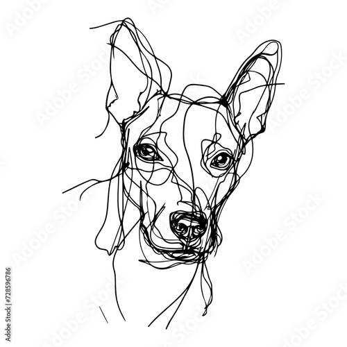 Messy line drawing of a basenji dog's face photo