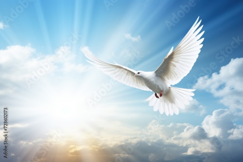 Calm sky, angel message, peace in the form of a dove, space for text