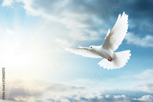 Calm sky, angel's proclamation, peace symbolized by a white dove, space for text