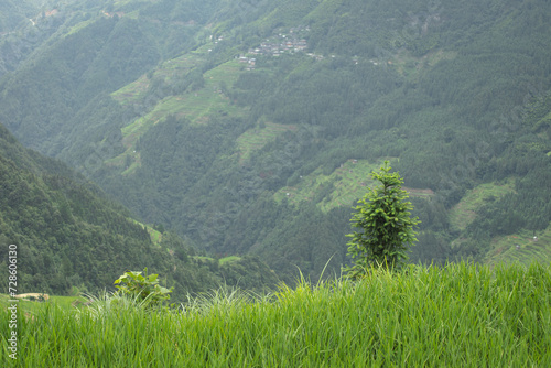 Landscape of jiabang terrace guizhou china. photo