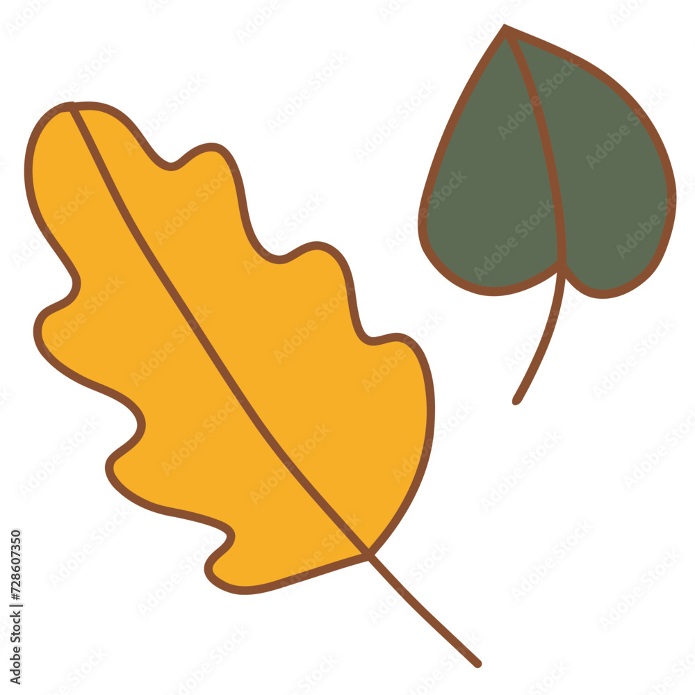 Obraz premium leaves isolated on white background