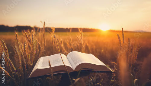 Book open on wheat field at sunset