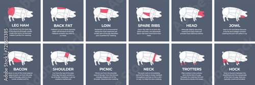Guide cutting meat carcass pork, turkey, lamb, cow, chicken. Butcher guide. Diagrams сutting parts meat carcass domestic farm poultry and farm livestock. Vector flat color illustration isolated.