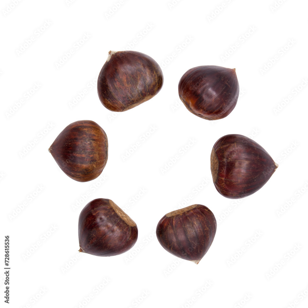 Top view of chestnuts forming a circle on a cutout PNG transparent background Top view of chestnuts forming a circle on a cutout PNG transparent background