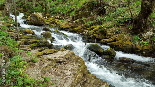 A clear  babbling stream meandering through a vibrant forest  surrounded by lush green foliage and enchanting tranquility.