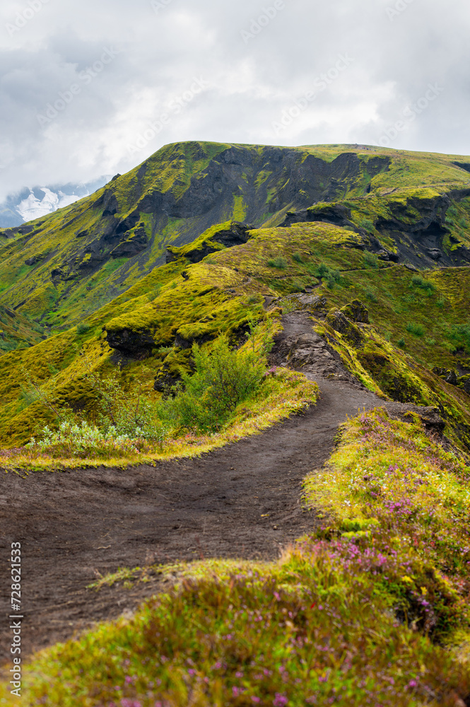 The picturesque road in a famous Laugavegur hiking trail. Icelandic landscape of volcanic rhyolite mountains in cloudy weather with colourful grass. Iceland in august. Horizontal crop