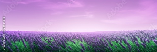 A Peaceful Lavender Harvest Gradient, Background Image, Background For Banner, HD © ACE STEEL D