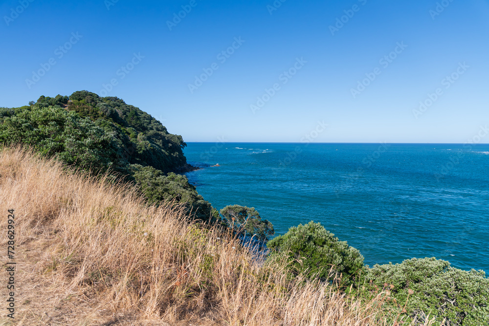 Panorama from Mount Maunganui, New Zealand. Capturing breathtaking views of the sea and lush greenery, perfect for travel promotions, coastal landscapes, or any project that celebrates nature.