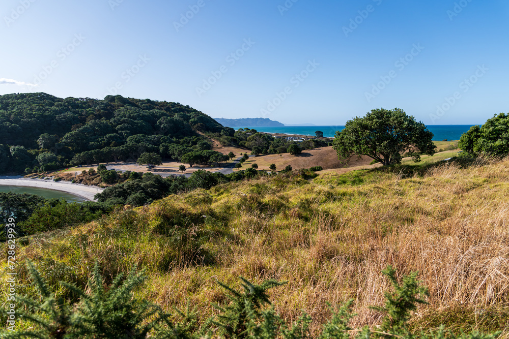 Fototapeta premium Sunny summer day in Bowentown, New Zealand. It is ideal for travel brochures, vacation advertisements, or projects seeking to capture the beauty of coastal landscapes.