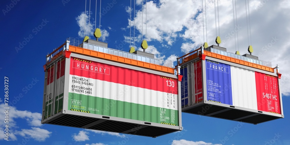 Shipping containers with flags of Hungary and France - 3D illustration