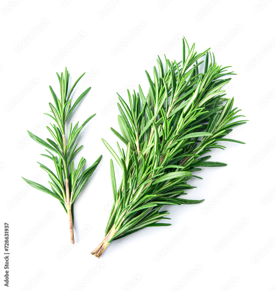 Rosemary herbal on white backgrounds Rosemary herbal on white backgrounds