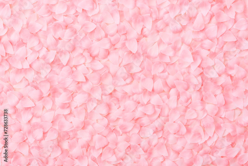 桜の花びらが敷き詰められた背景素材