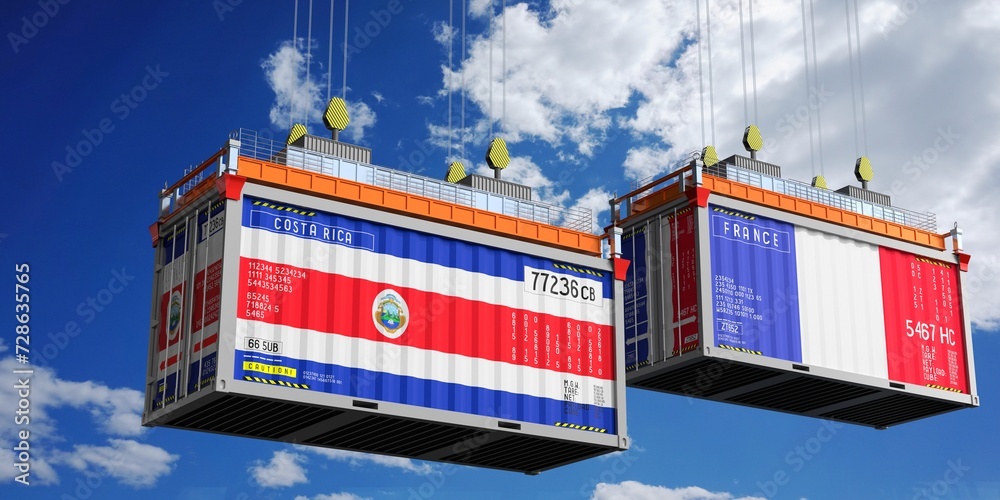 Shipping containers with flags of Costa Rica and France - 3D illustration