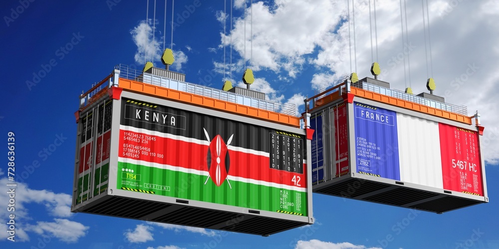 Shipping containers with flags of Kenya and France - 3D illustration