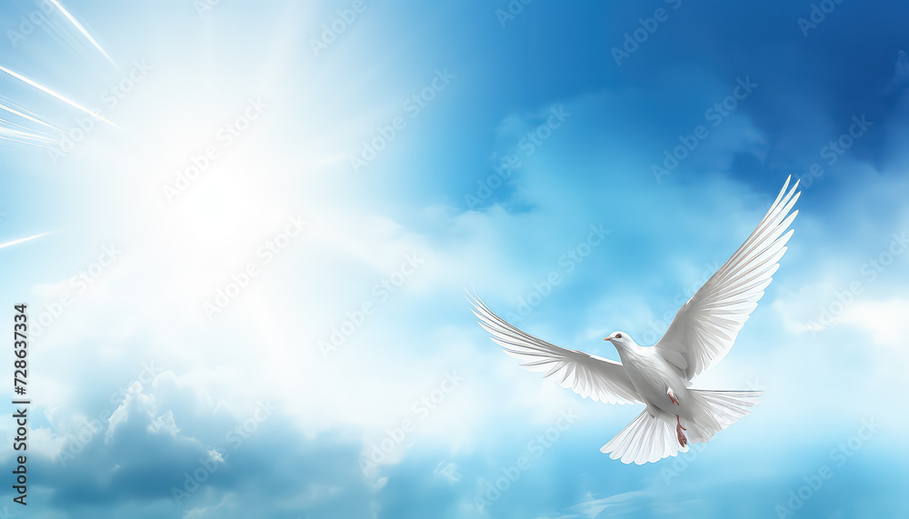 Peaceful Israeli dove on blue sky background