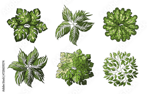 Tree for architectural floor plans. Entourage design. Various trees, bushes, and shrubs, top view for the landscape design plan. Vector illustration.