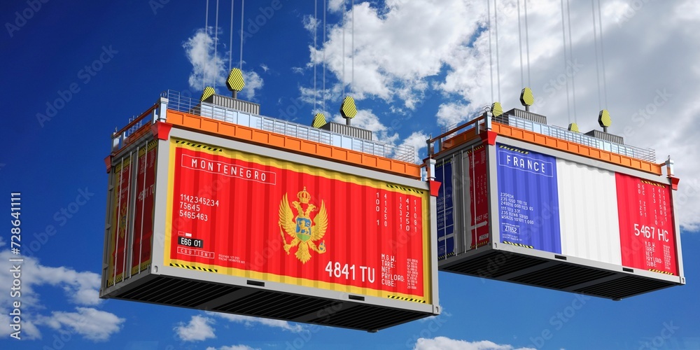 Shipping containers with flags of Montenegro and France - 3D illustration Shipping containers with flags of Montenegro and France - 3D illustration