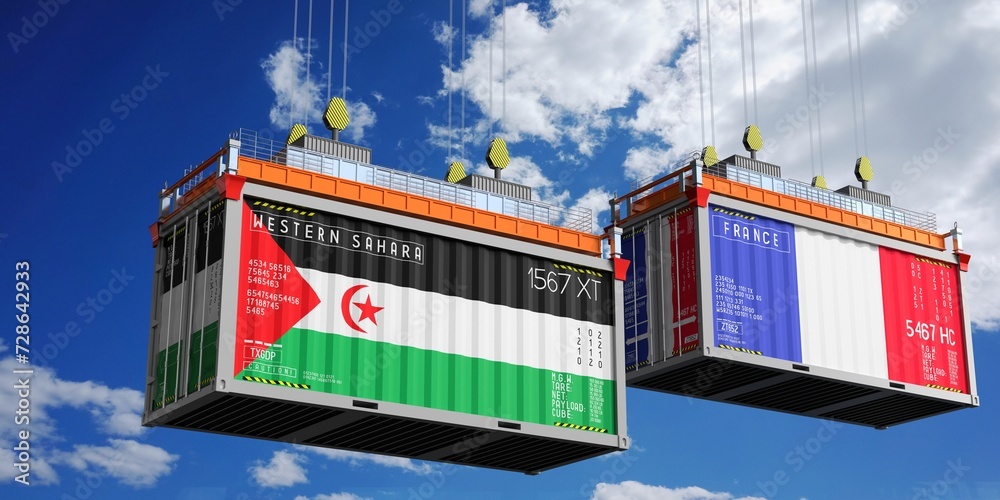 Shipping containers with flags of Western Sahara and France - 3D illustration