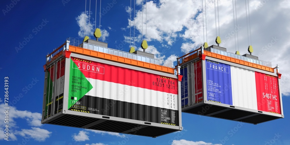 Shipping containers with flags of Sudan and France - 3D illustration