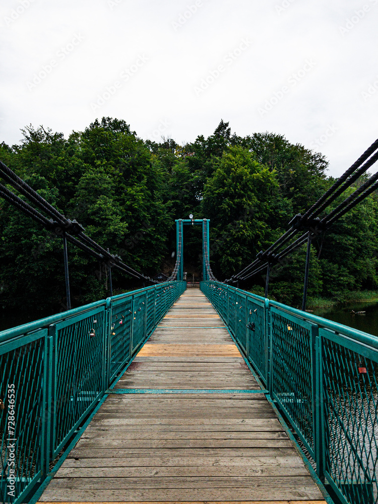Obraz premium suspension bridge