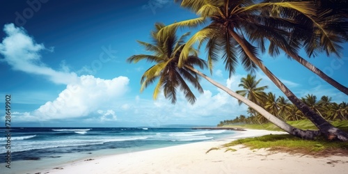 A tropical beach with palm trees on the beach stock photo  in the style of uhd image  